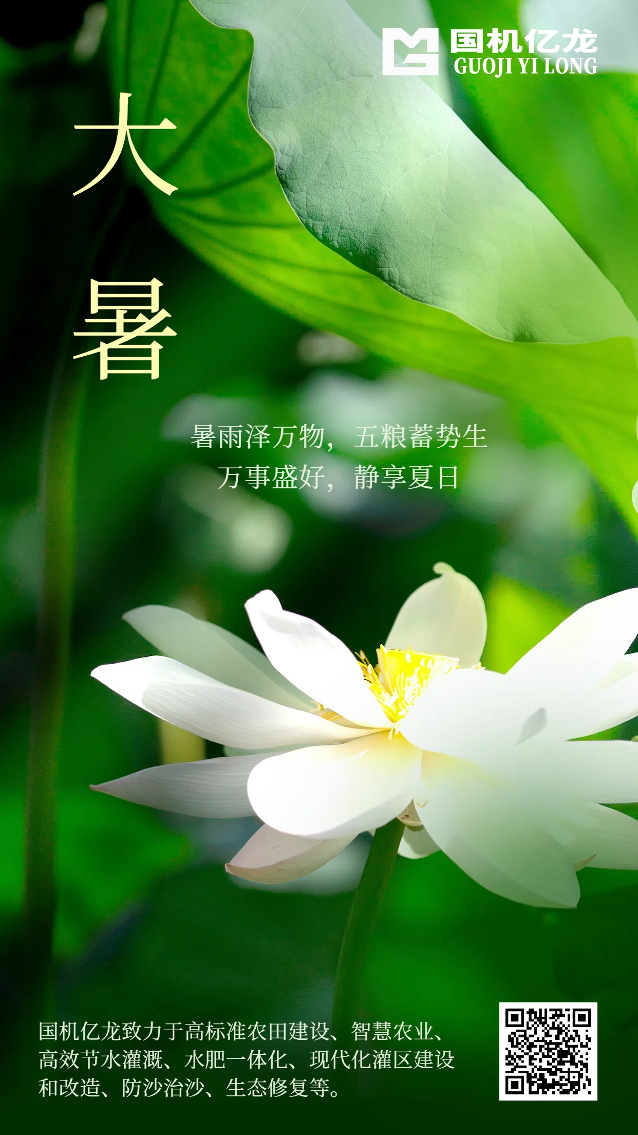 ǲ(й)ٷվ
